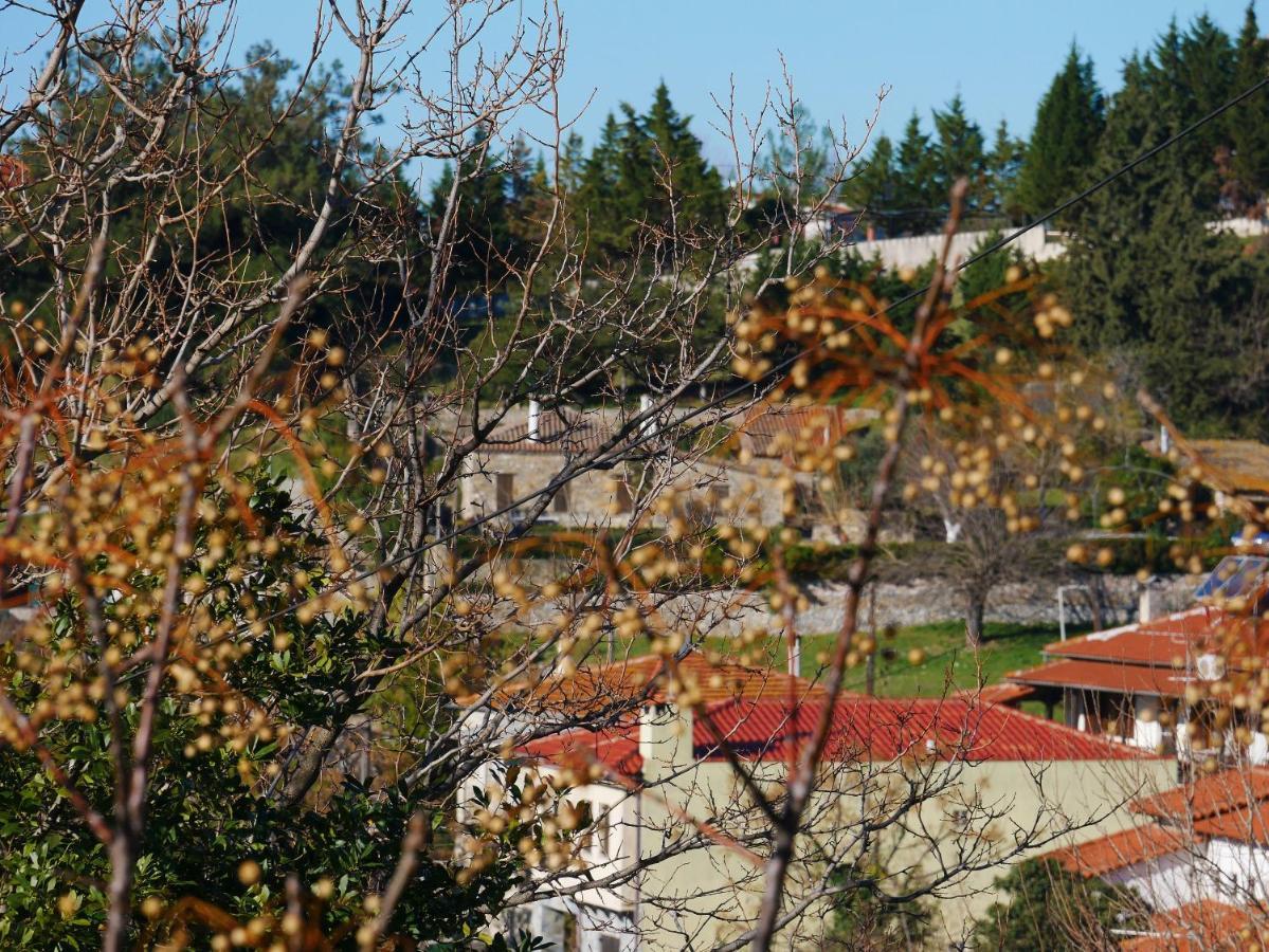 Casa Di Grigoris Villa Nikiti  Exterior foto